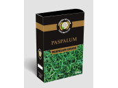 PASPALUM GRASS